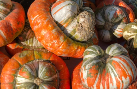 Maralee_Park_131025_55826_5_4