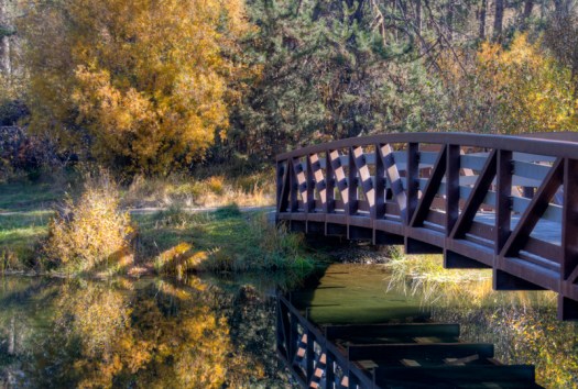 Maralee_Park_131025_55845_4_3