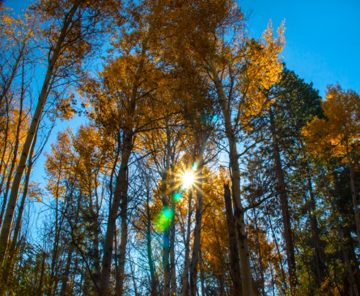 Maralee_Park_131025_55854-Edit