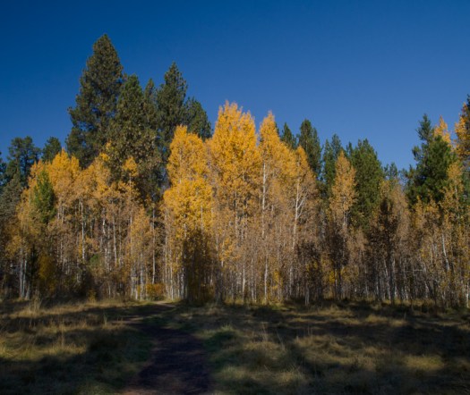 Maralee_Park_131026_55933-Edit