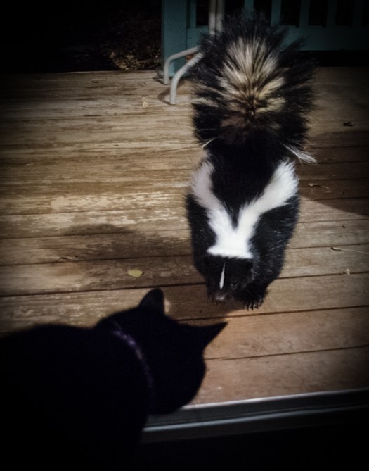 Maralee_Park_131027_56075-Edit