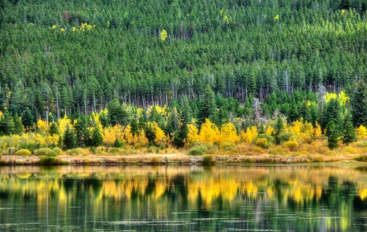 Maralee_Park_090924_04564