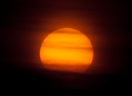 Maralee_Park_110529_06900