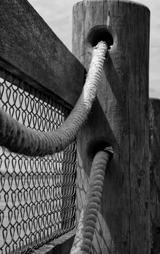 Maralee_Park_110617_07424-Edit