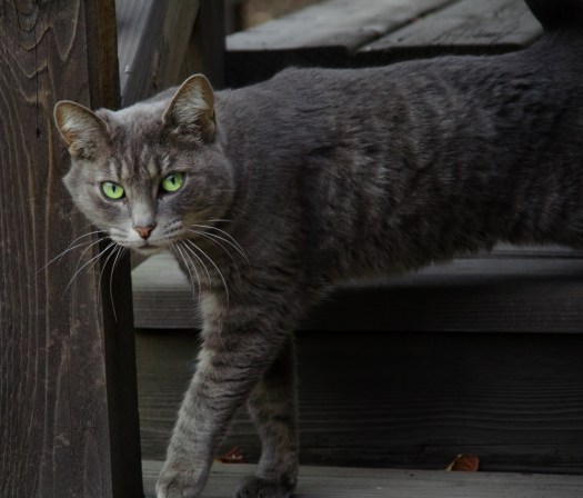 Maralee_Park_131031_56078-Edit