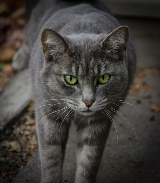 Maralee_Park_131031_56081-Edit