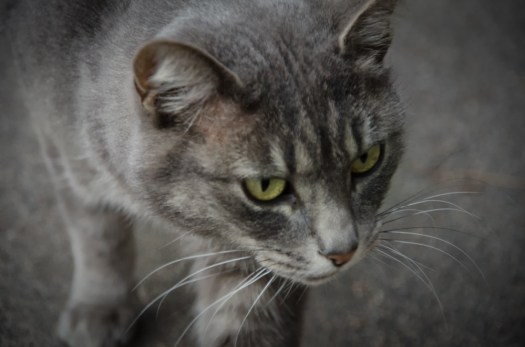 This was when she was still outdoors.