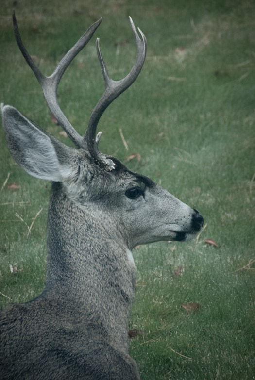 Maralee_Park_131108_56448-Edit