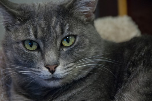 Maralee_Park_131113_56837-Edit