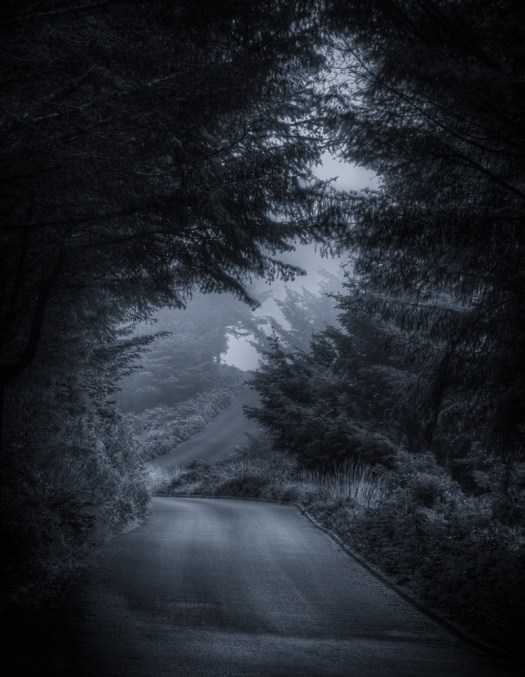 Maralee_Park_Day153_00002-Edit-Edit