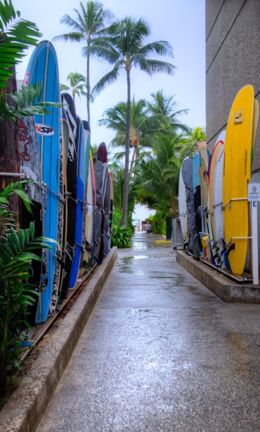 Maralee_Park_131127_57231_30_29-Edit