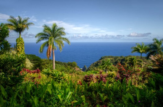 Maralee_Park_131206_58248_49_50