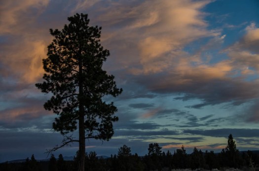 Maralee_Park_131227_58908-Edit