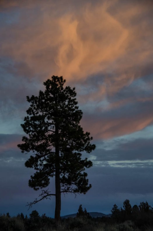 Maralee_Park_131227_58911-Edit