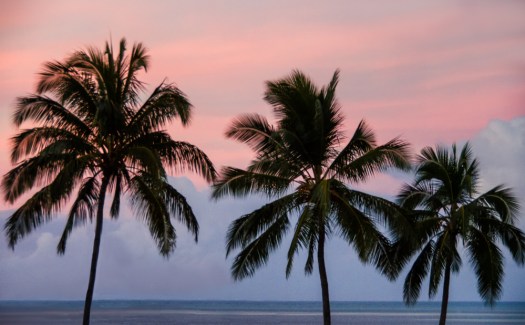 Maralee_Park_131128_57369-Edit