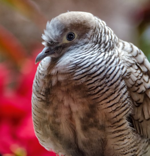 Maralee_Park_131129_57456-Edit