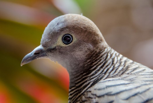 Maralee_Park_131129_57474-Edit