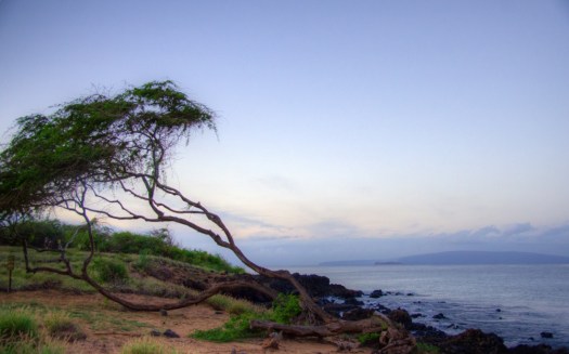 Maralee_Park_131205_58119_20_21