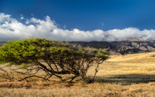 Maralee_Park_131206_58467-Edit-2