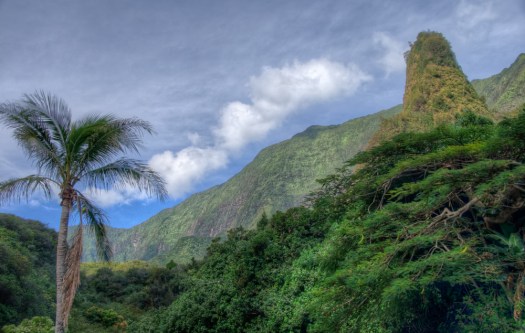 Maralee_Park_131207_58499_500_501