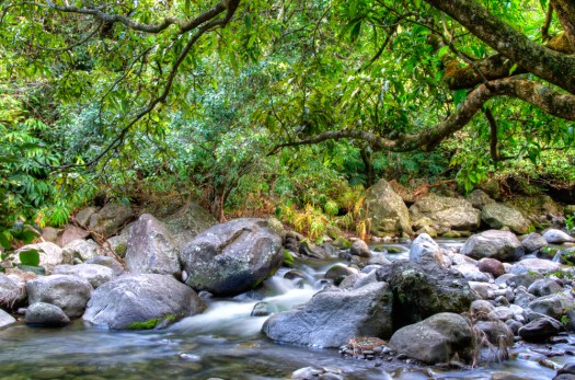 Maralee_Park_131207_58529-Edit