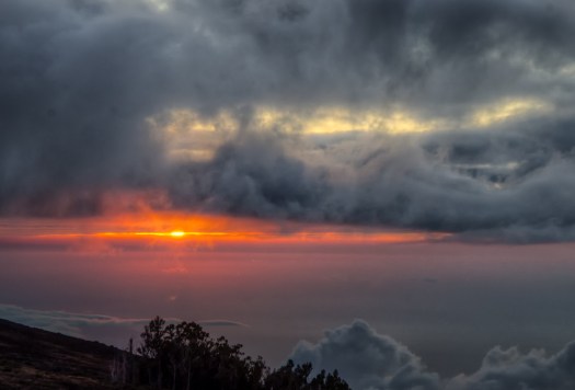 Maralee_Park_131207_58626_7_8