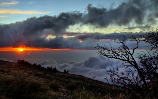 Maralee_Park_131207_58643_2_1-Edit-Edit