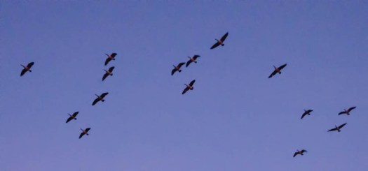 Maralee_Park_140104_59593-Edit-Edit