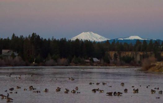 Maralee_Park_140104_59595-Edit