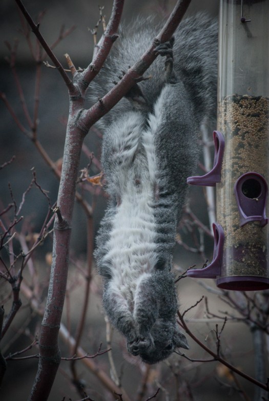 Maralee_Park_140107_59686