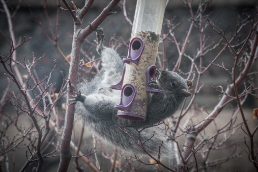 Maralee_Park_140107_59751