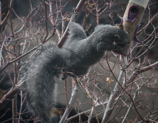 Maralee_Park_140107_59776