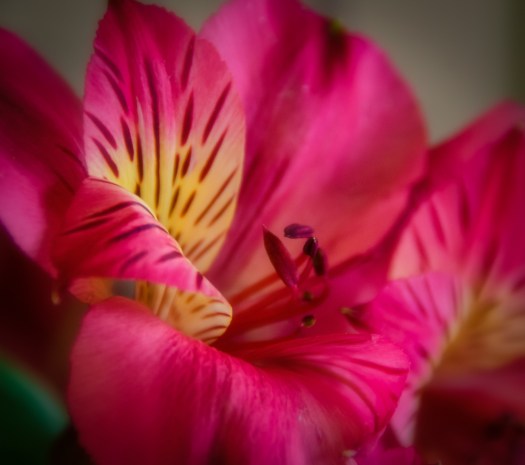 Maralee_Park_140109_59793-Edit