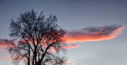 Maralee_Park_140114_60021-Edit