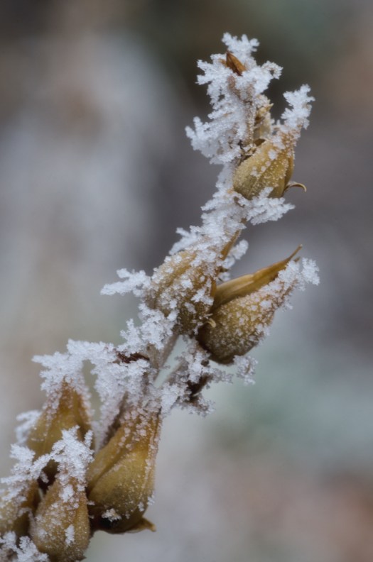 Maralee_Park_140119_60182-Edit