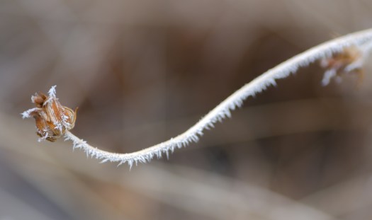 Maralee_Park_140119_60218-Edit