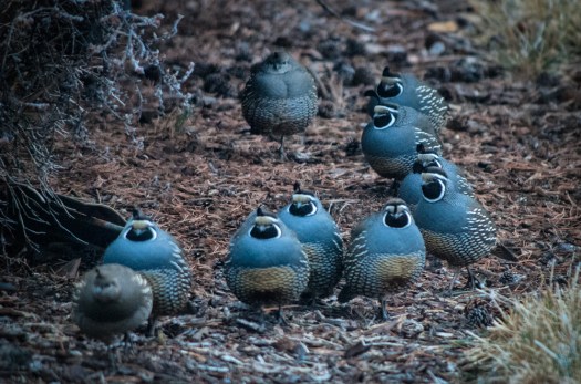 Maralee_Park_140120_60245-Edit