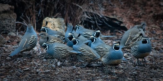 Maralee_Park_140120_60257-Edit