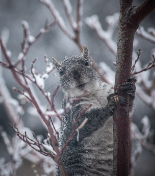 Maralee_Park_140123_60312