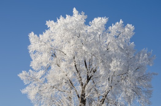 Maralee_Park_140123_60396-Edit