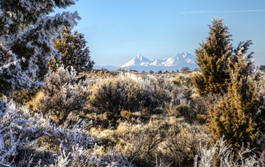 Later in the afternoon (this wasn't at my office).