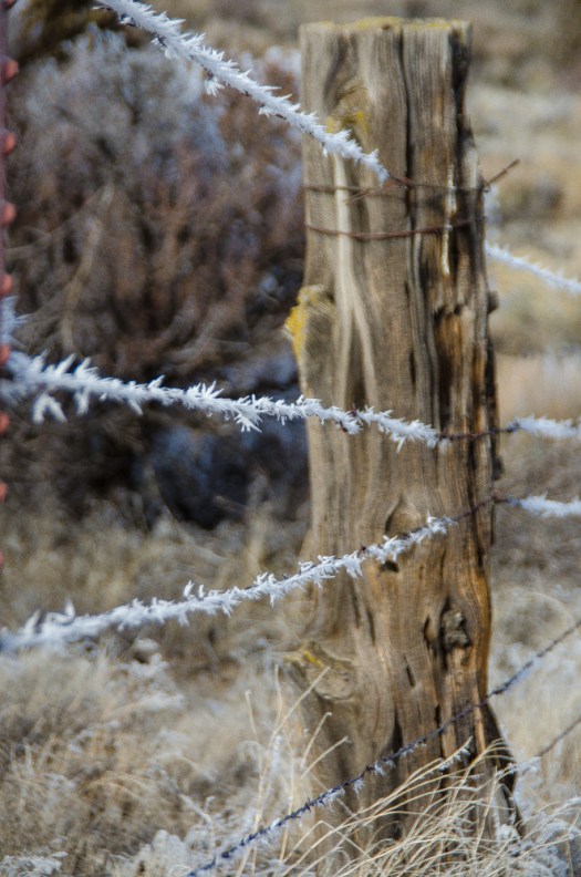 Maralee_Park_140124_60466