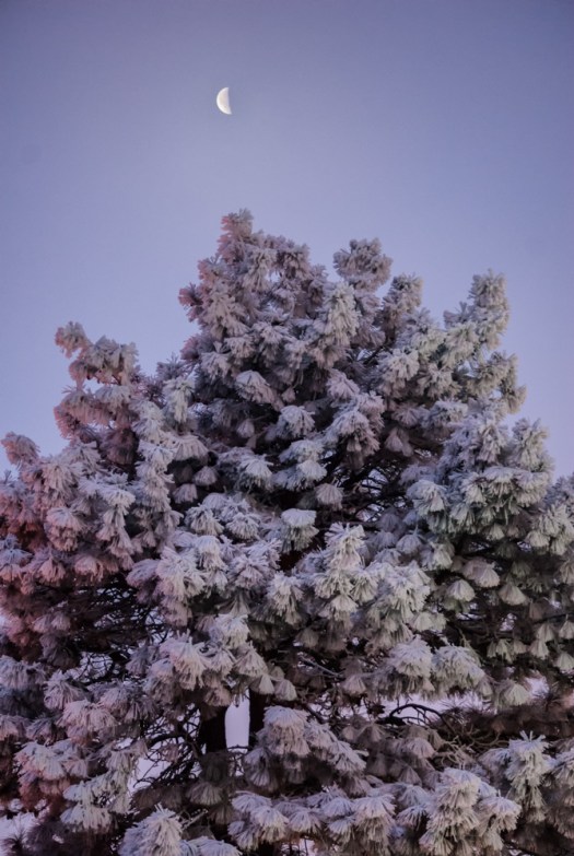 Maralee_Park_140124_60498-Edit