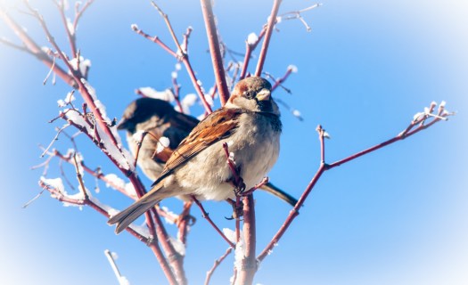 Maralee_Park_140124_60506-Edit