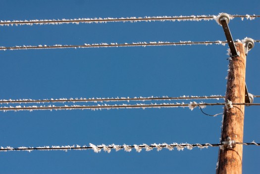 Maralee_Park_140124_60516-Edit