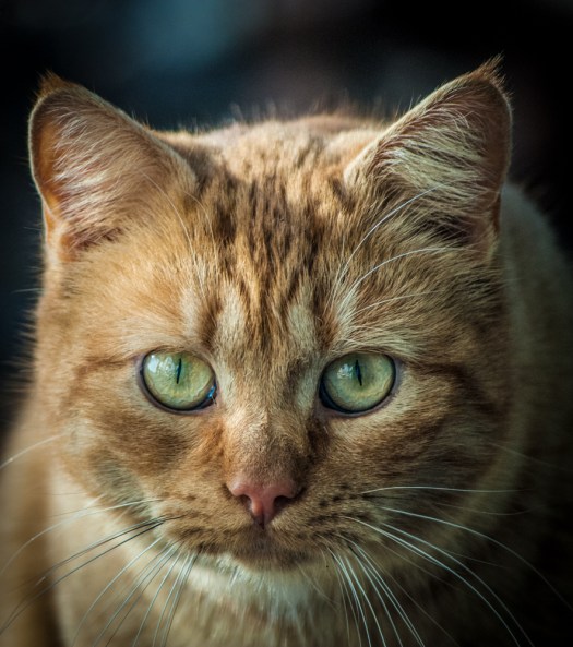 Maralee_Park_140119_60236-Edit