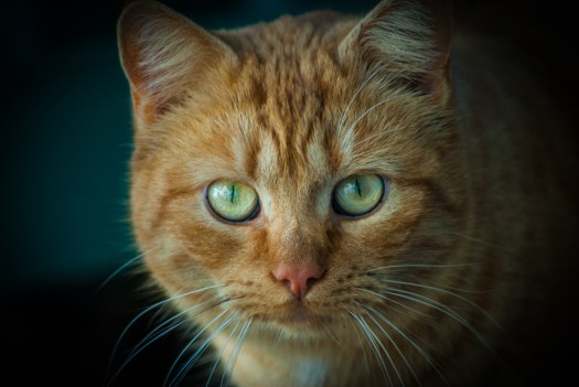 Maralee_Park_140119_60238-Edit