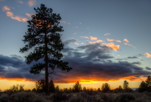 Maralee_Park_140131_60530_29_28