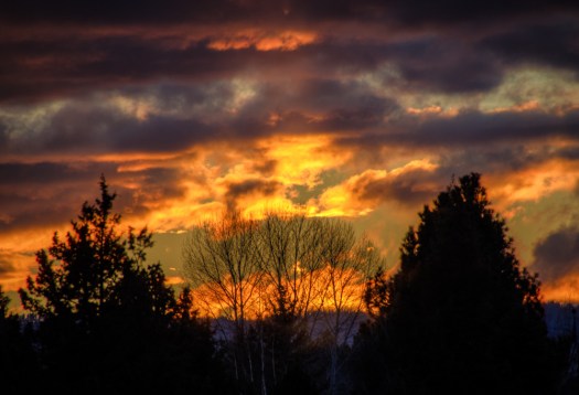 Maralee_Park_140201_60582_3_4-Edit