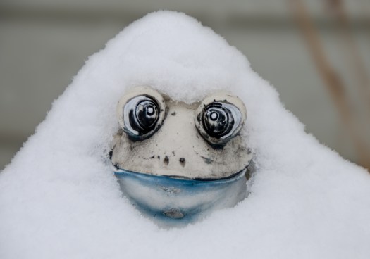 Maralee_Park_140207_60820-Edit